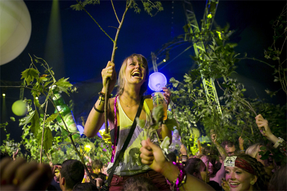 Hollanddj sziget mti