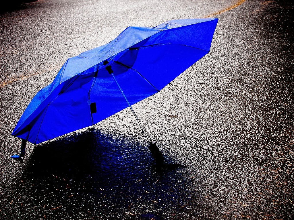Blue Umbrella In The Rain