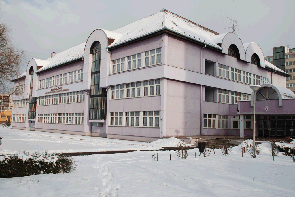 Neumann portal school