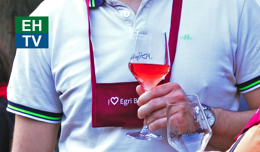 Tvbelyeg kiemelt bikaver