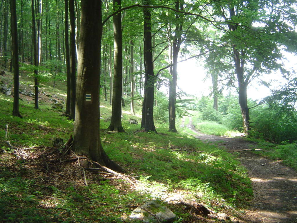 DSC04609