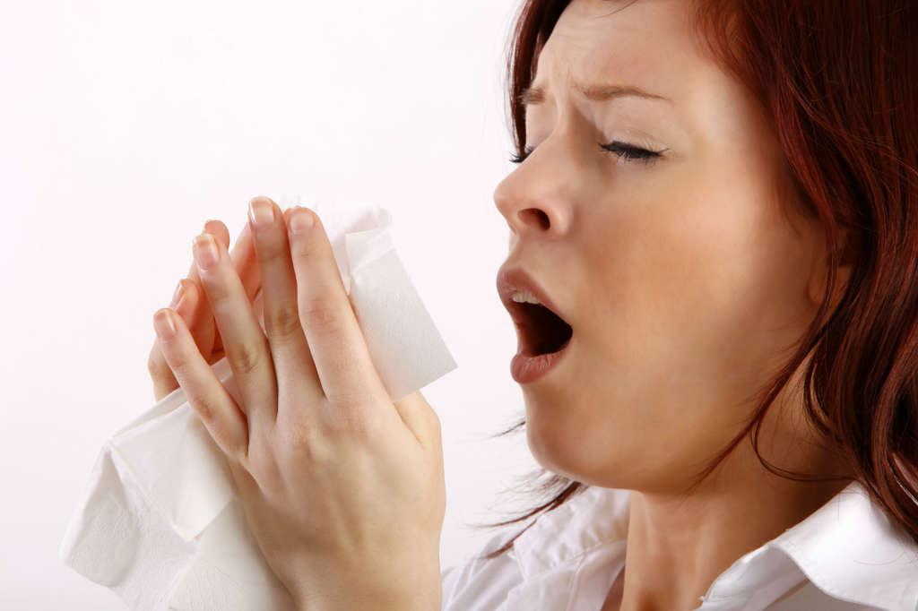 Sneeze