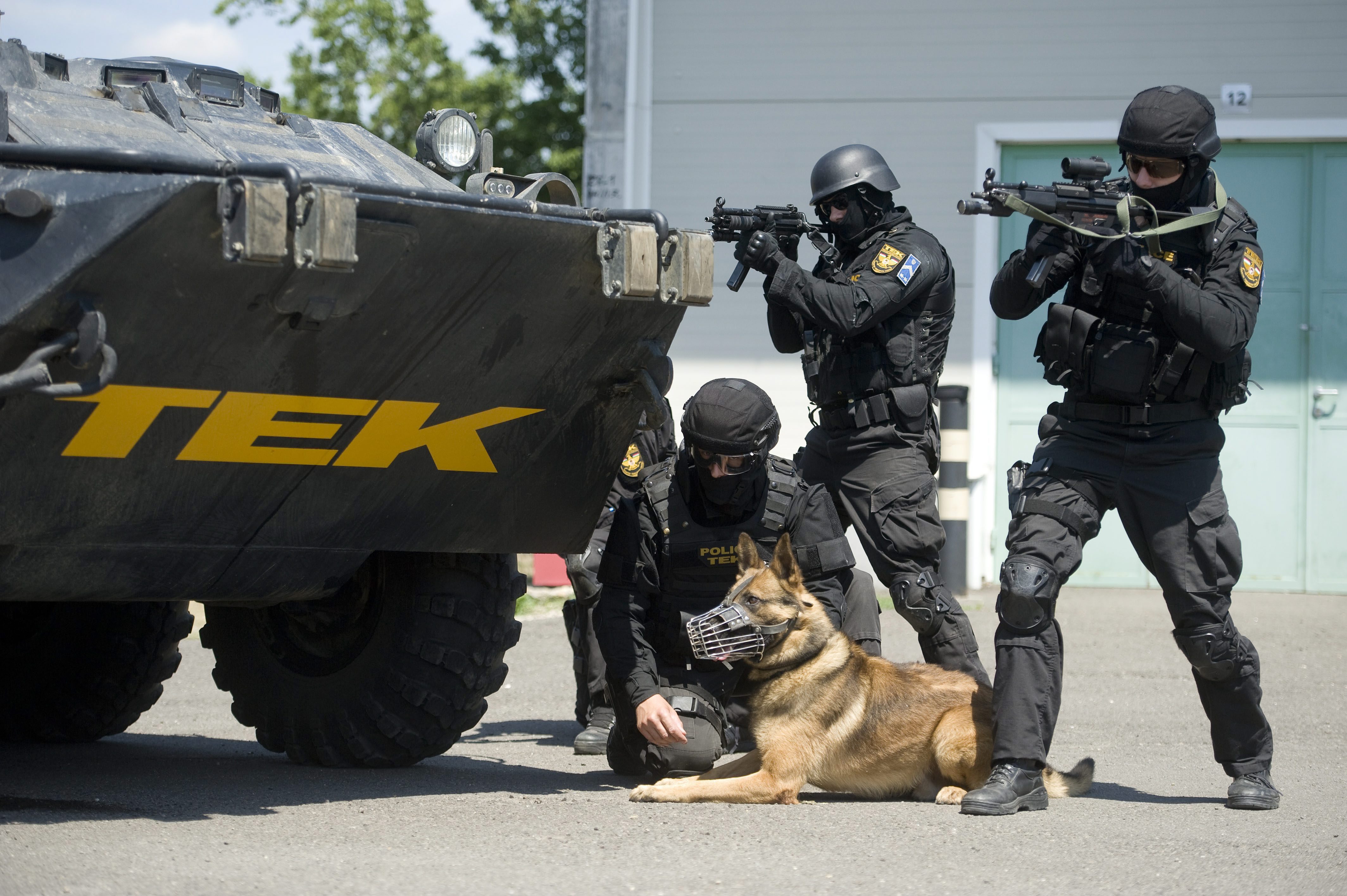 Terrorelhárítási Központ