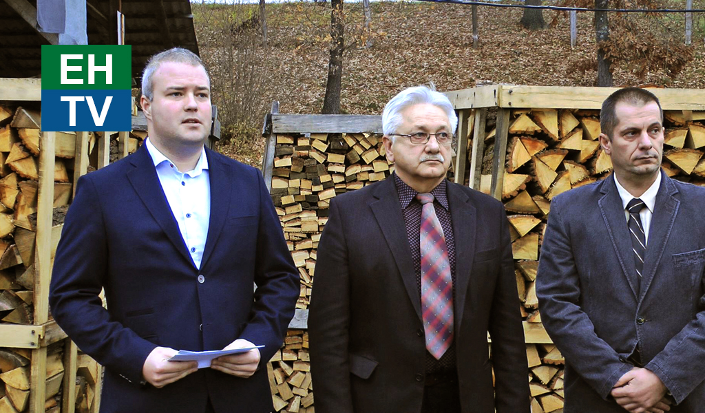 Tvbelyeg tuzifa