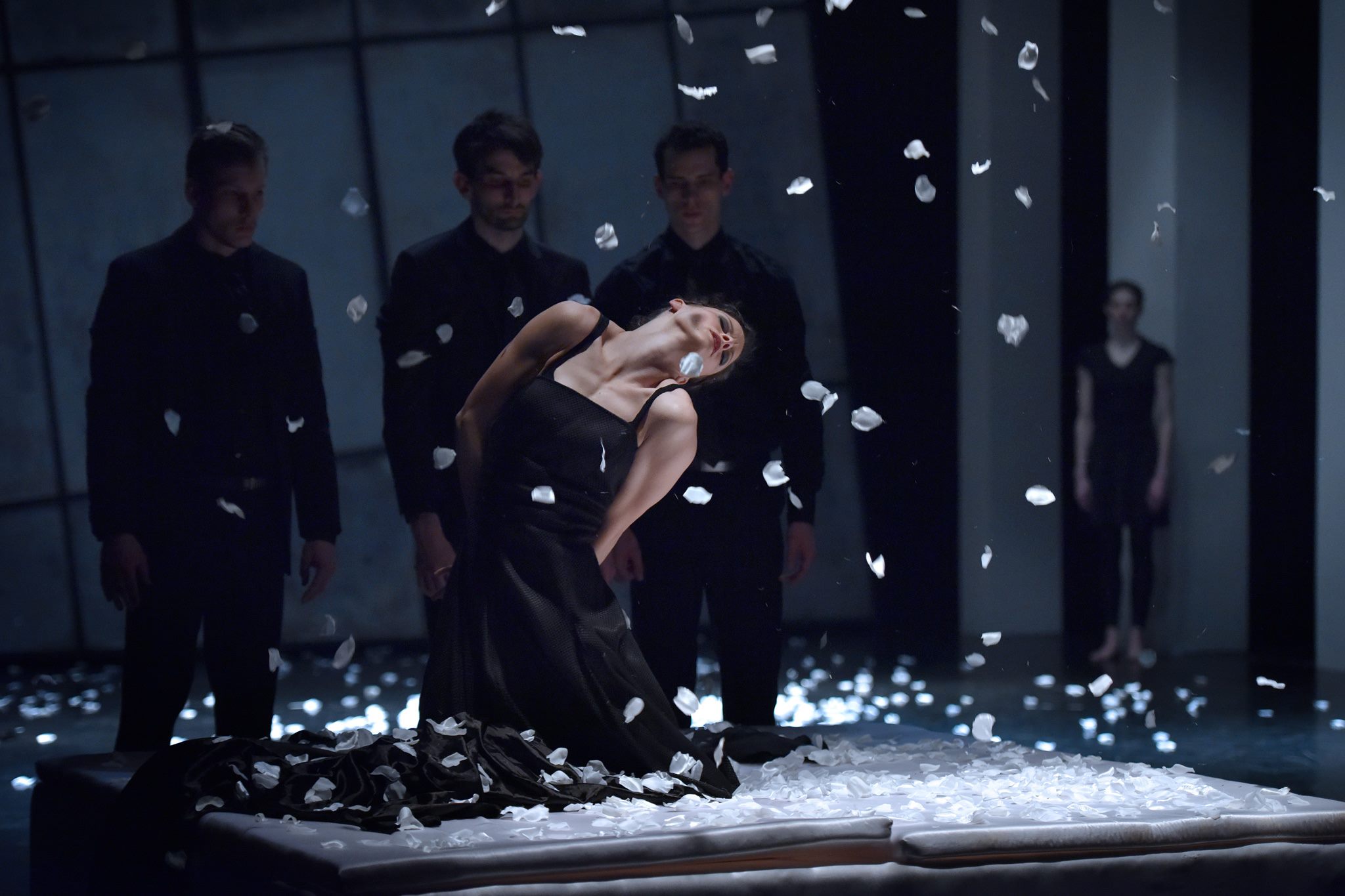 12874111 1249446175069837 1366728788 o