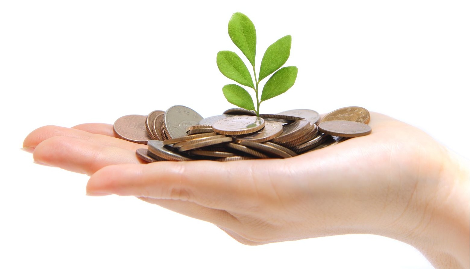 Coins in hand 1559x893