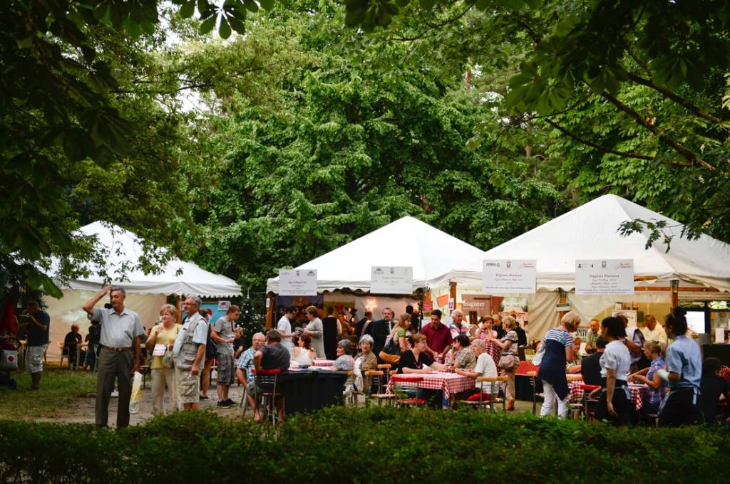 DSC 8660 Bikaverünnep