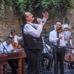 IMG 8257 [1600x1200]