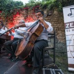 IMG 8294 [1600x1200]