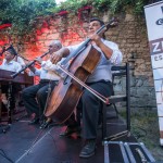 IMG 8297 [1600x1200]