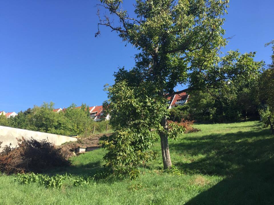 14137814 10206775904186140 1563651842 n