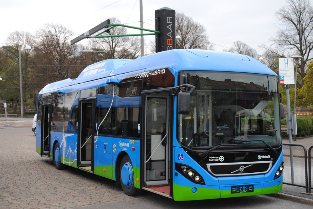 Ebusz1