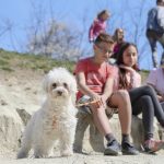 170401 egerszalok bolond lyuk barlanlakasok01