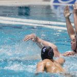 170405 zf eger partizan16