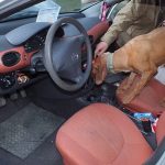 170415 police kabitoszer kutya