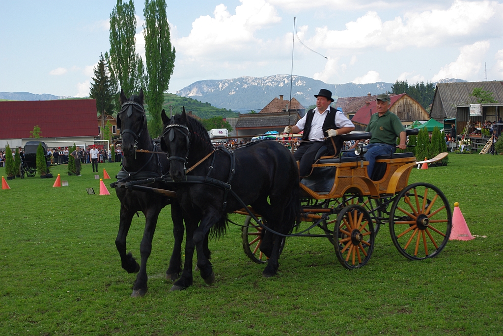 170624 egri lovasnapok