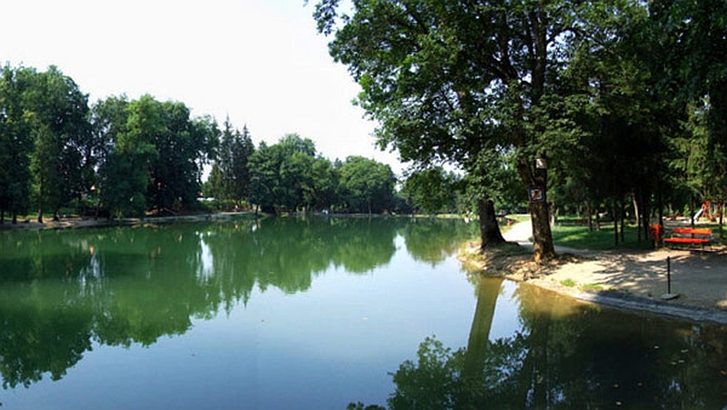 170722 felsötarkany to