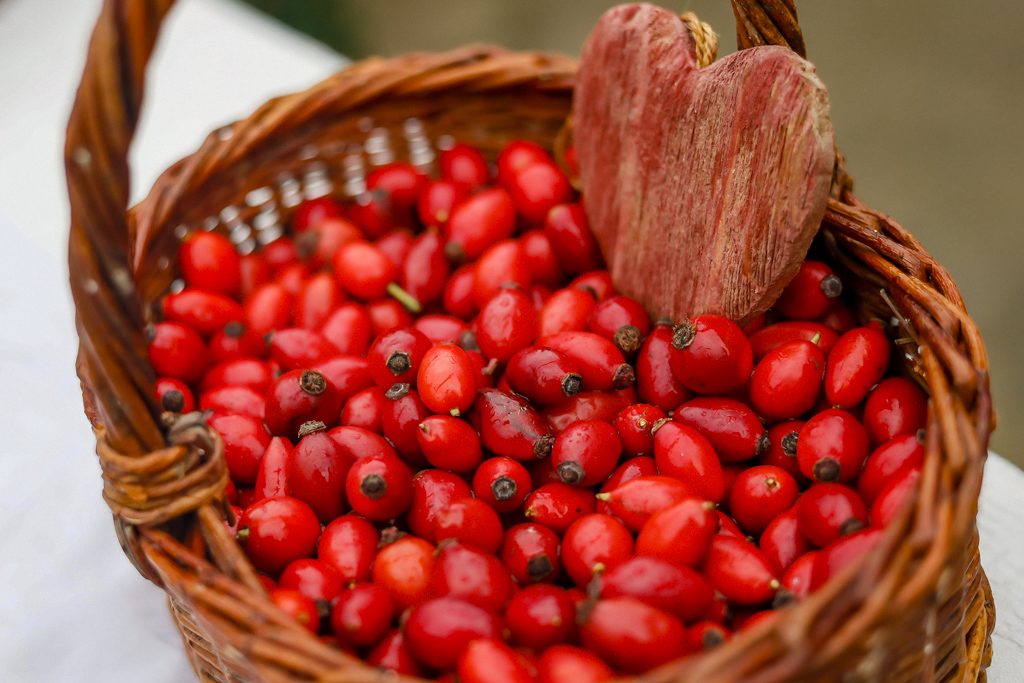 171021 csipkebogyo fesztival10