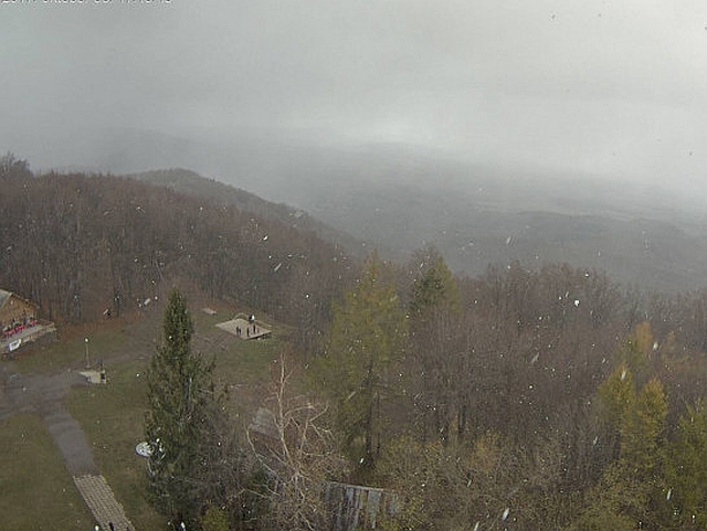 171030 havazas kekesteto