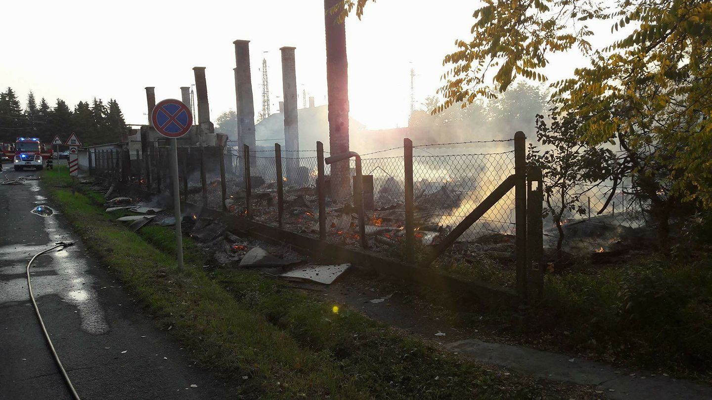 22519991 10155907376459756 8487262914764962447 o