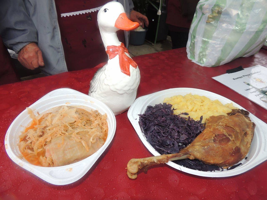 171106 marton nap libasagok bogacs