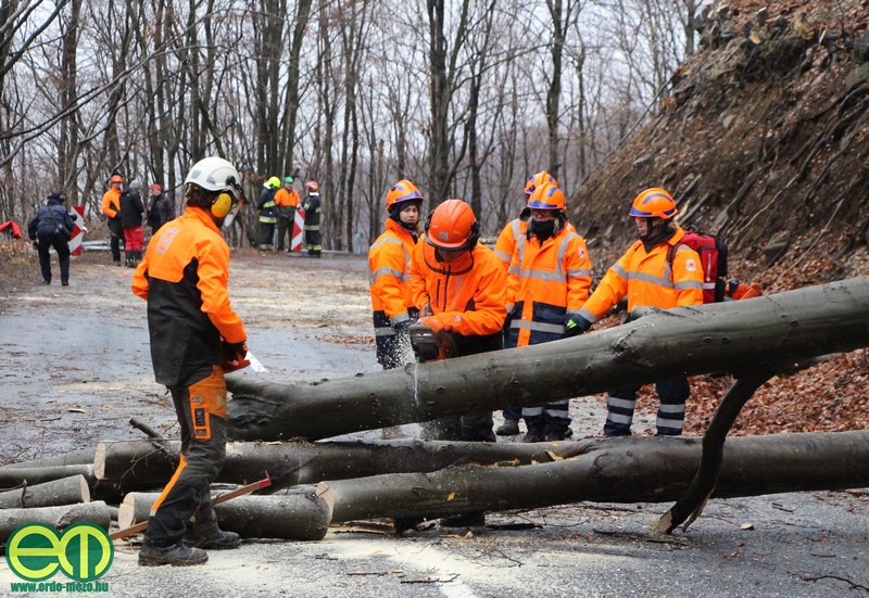 171118 erdo favagas katasztrofavedelmi gyakorlat