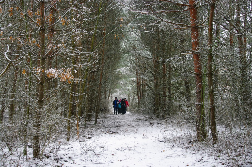 180120 ipolytarnoc osmaradvanyok