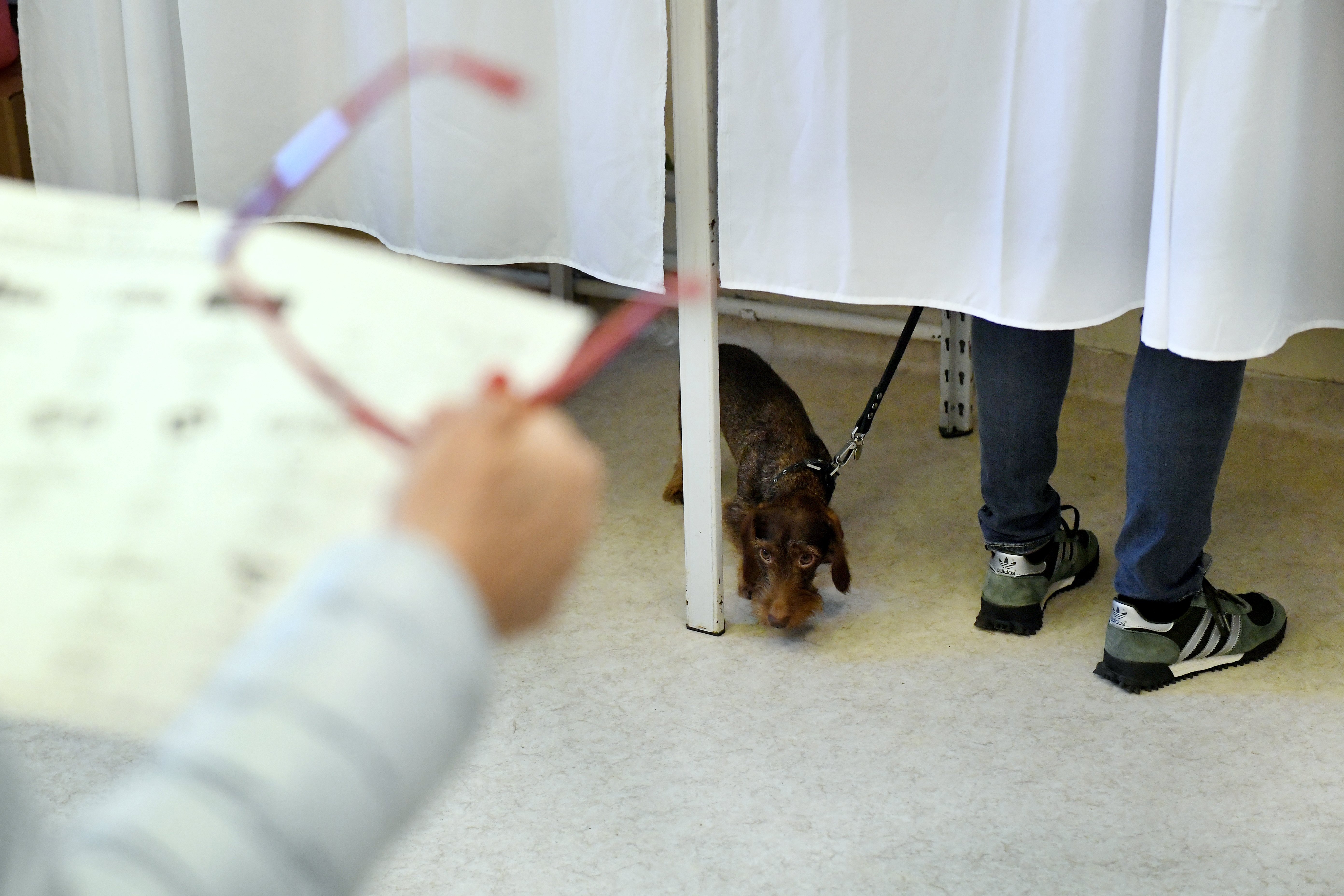 Választás 2018 Budapest