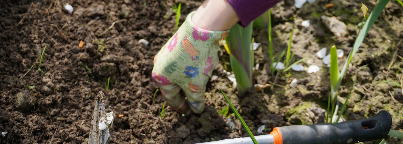 1805 kertesz kert gyomlal zoldhulladek