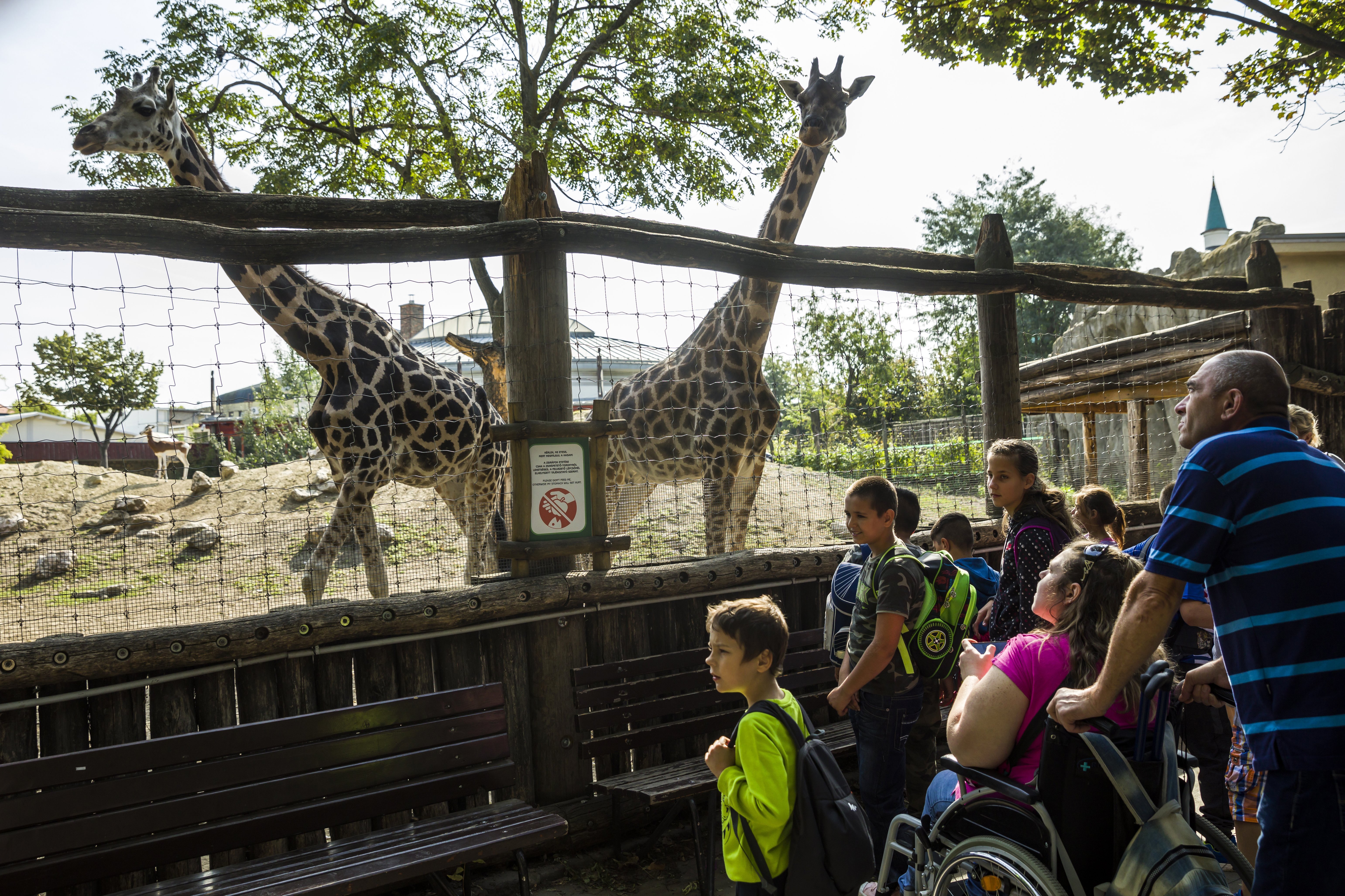 A 27. Sérült Gyermekek Napja a budapesti állatkertben