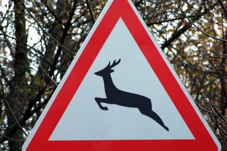 180925 vad vadveszely utjelzo tabla