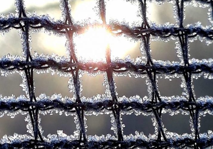 47431260 10218131525227584 1777672502659514368 o lujza