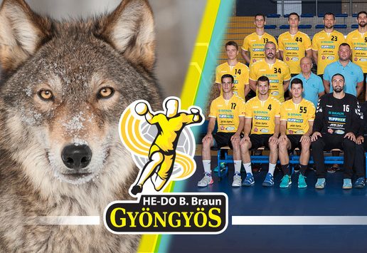 HEDO Farkas lett a kabala medianak