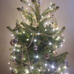 Iváncsikné Bíró Orsolya Anna 2 helyezett karácsonyfa