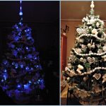 Kiss Andi 3 helyezett karácsonyfa