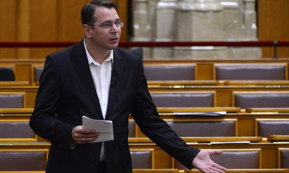 Mirkóczi Ádám 1000x600