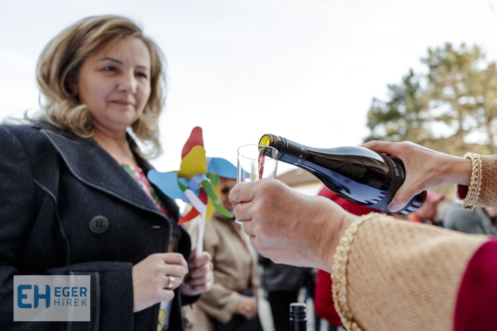 EGri Bikvaér hungarikum 2 születésnap