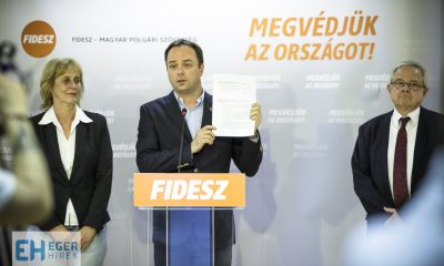 Nyitrai Balla Mariann Habis