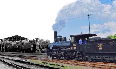 DSC 3998 Jpeg 2 2 névvel