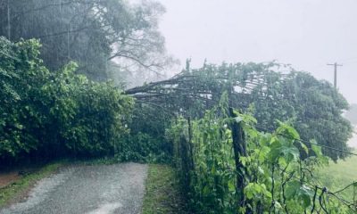 Heves e1561309629371