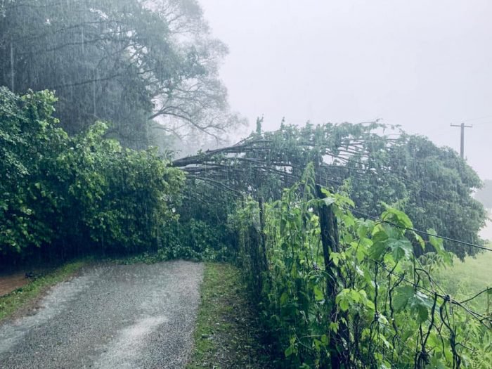 Heves e1561309629371