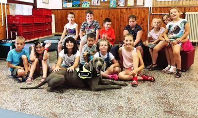 65650847 624086291403863 8540726507444633600 n