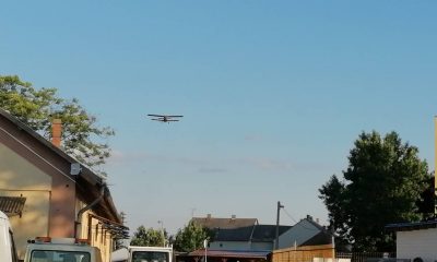 66388112 509219096489756 2437140563179339776 n