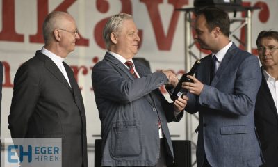 Nyitrai Zsolt borospalack