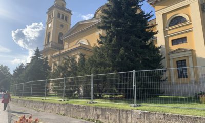 4E3D1E93 5F12 4B8E A8CD 6DE5868F1A50