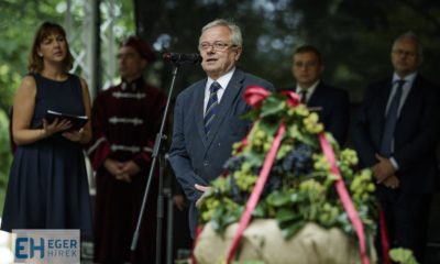 Szüret Habis László