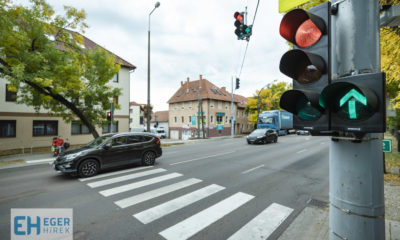 Zöldhullám