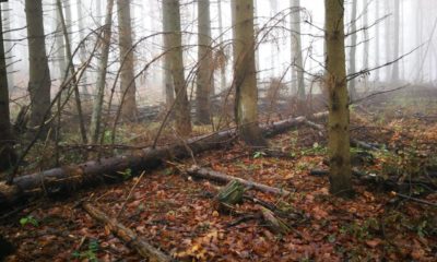 055AB223 06BC 4DF3 A10E B53A26CB4FB8