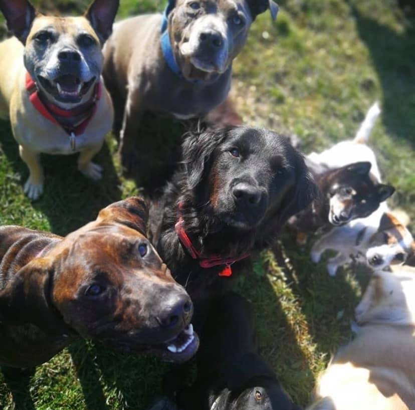 0F397771 C2C2 4E63 B5AC 18D6FA399E13