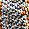 Cigaretta